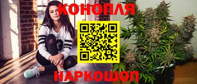 прущие грибы Дубна