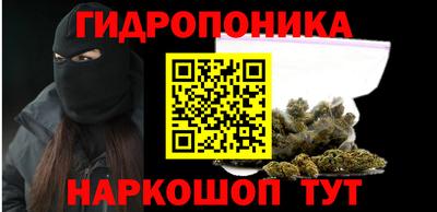 прущие грибы Дубна
