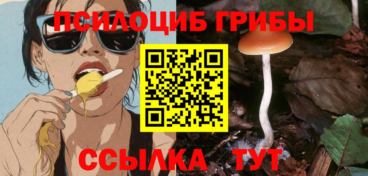 Галлюциногенные грибы Psilocybe Лосино-Петровский